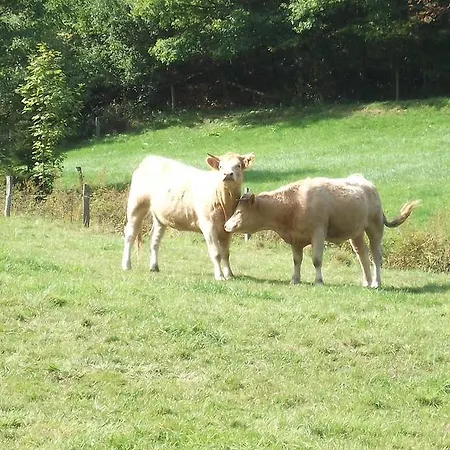 アパート Gottschlich シュマレンベルク