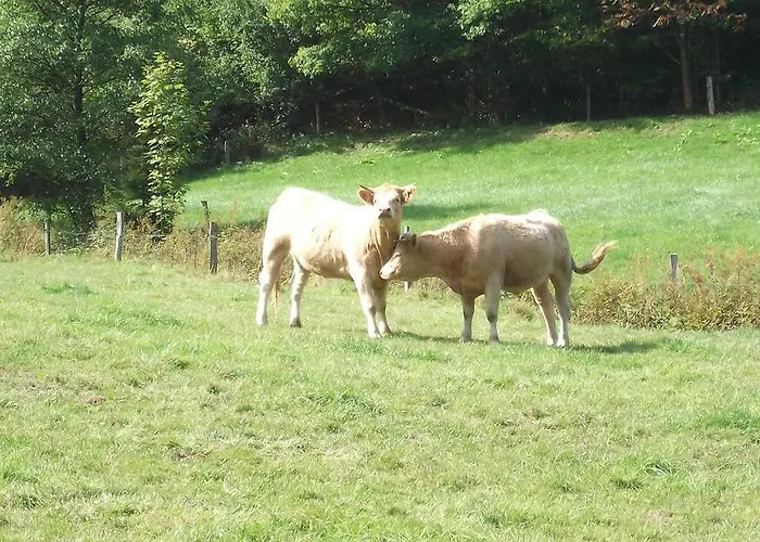 アパート Gottschlich シュマレンベルク