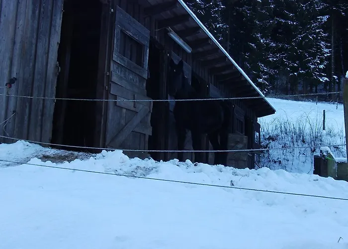 Apartment Gottschlich