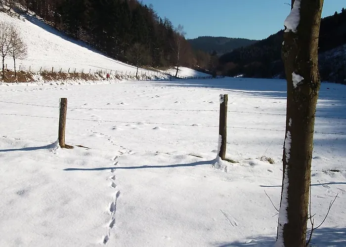 Apartment Gottschlich