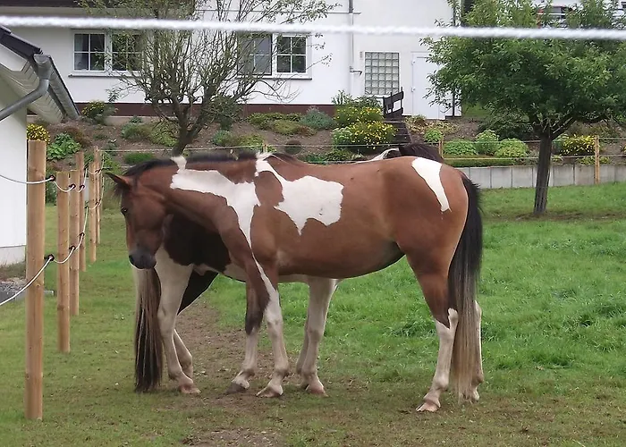 Gottschlich Apartment